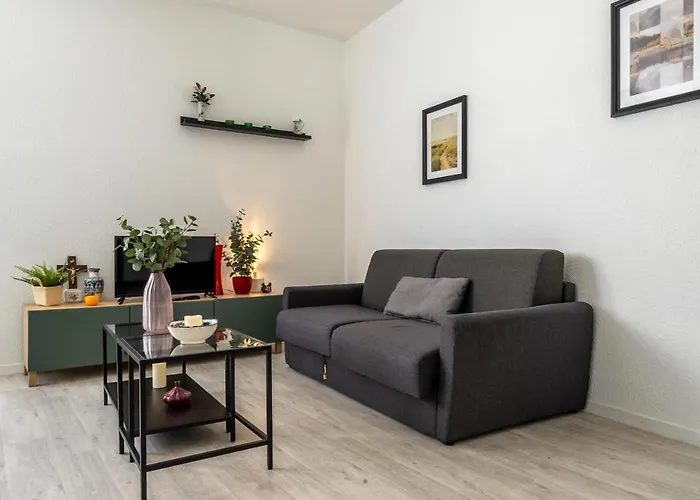 Résidence Serenity--wifi--centre Ville--sanctuaires Apartamento Lourdes